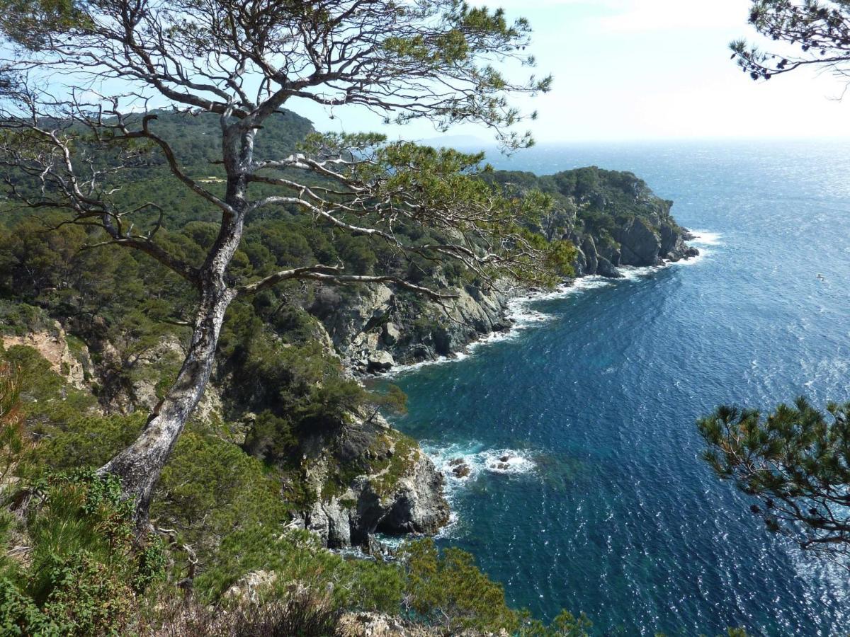 Hotel Le Mediterranee Hyères Екстериор снимка